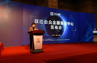 襄陽(yáng)漢江金融服務(wù)中心上線 創(chuàng)新服務(wù)助力企業(yè)融資發(fā)展